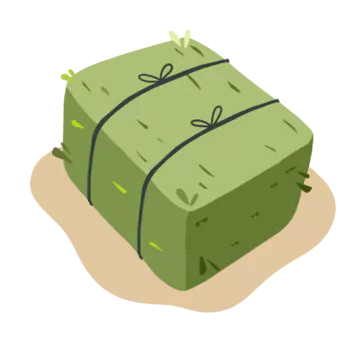 10kg box of hay