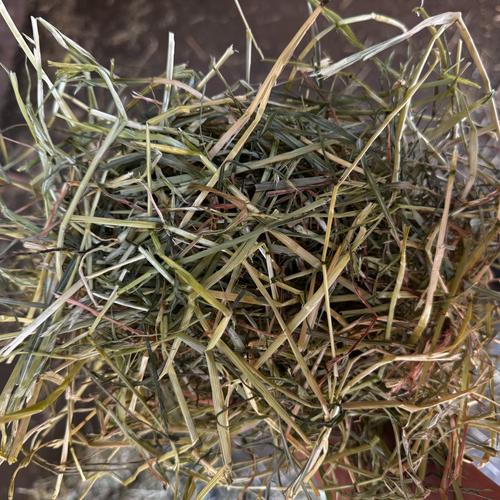 Sweet Rye Hay Box - Image 4